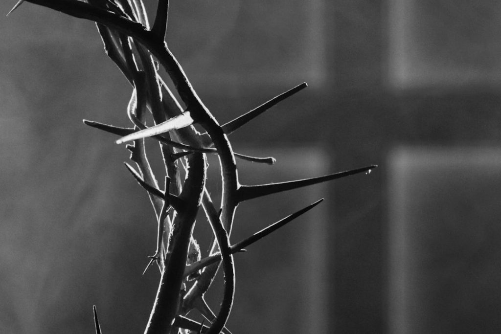 die dornen christi: geschichte, bedeutung und symbolische darstellung der biblischen dornenkrone.