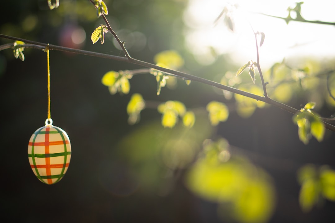 entdecken sie den bezaubernden osterei-baum, eine traditionelle deutsche frühlingsdekoration, die festlichkeit und natur verbindet.