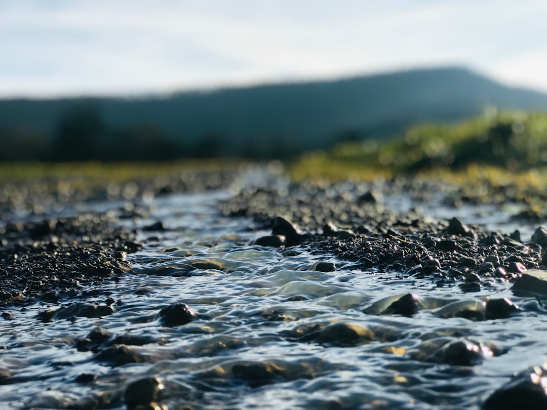 entdecken sie faszinierende informationen über flüsse: ihre entstehung, bedeutung für die natur und die vielfältigen lebensräume entlang ihrer ufer.