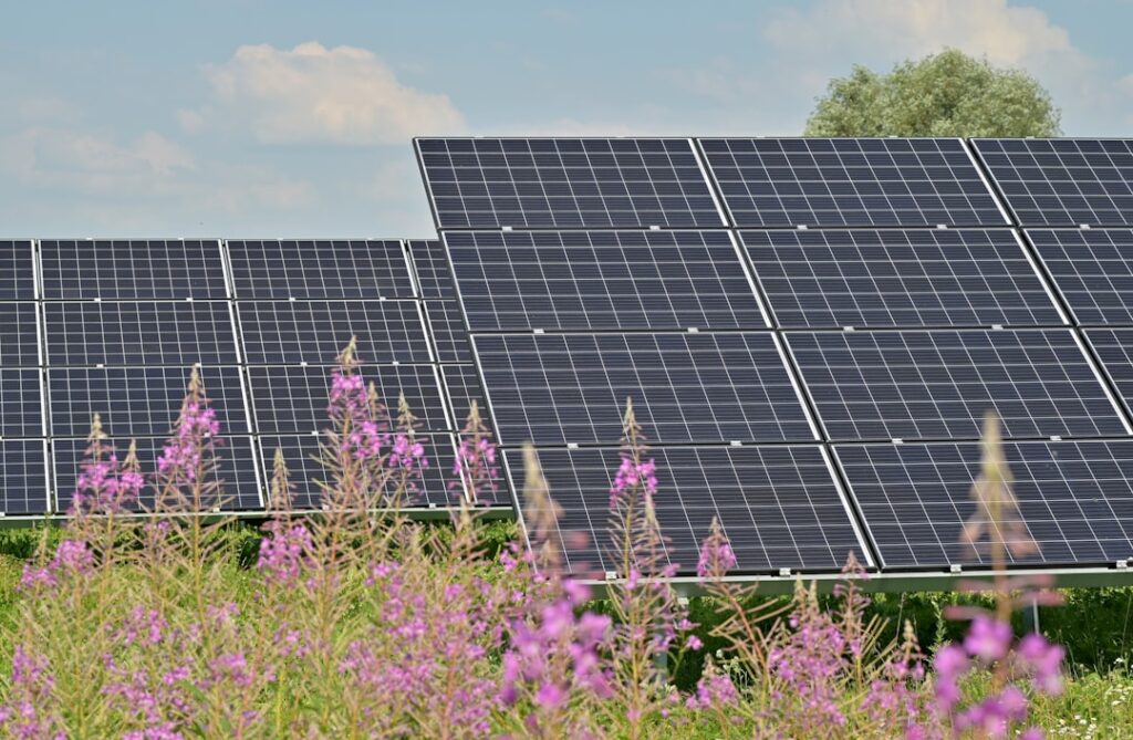 entdecken sie hochwertige solarmodule für nachhaltige energiegewinnung. effiziente und umweltfreundliche solarzellen für ihr zuhause oder unternehmen.