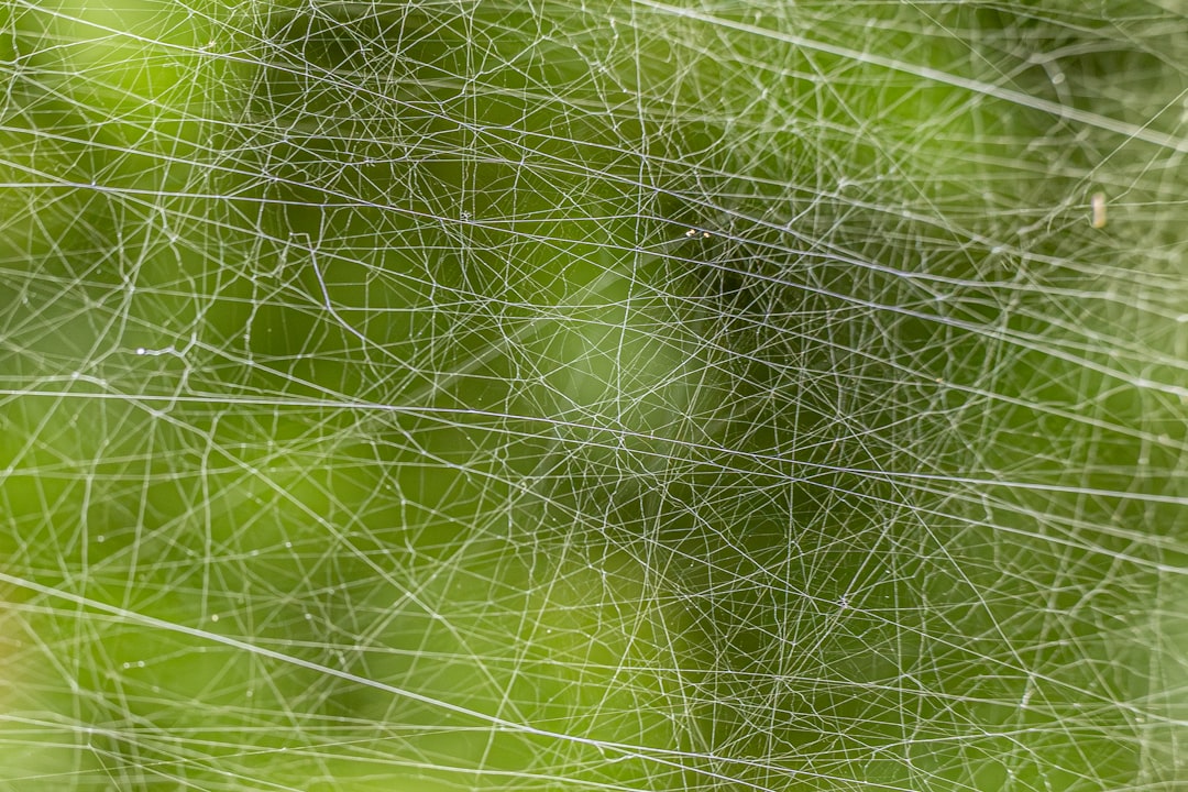 erfahren sie alles über spinnmilben, ihre ursachen, symptome und wirksame bekämpfungsmethoden, um ihre pflanzen gesund zu halten.