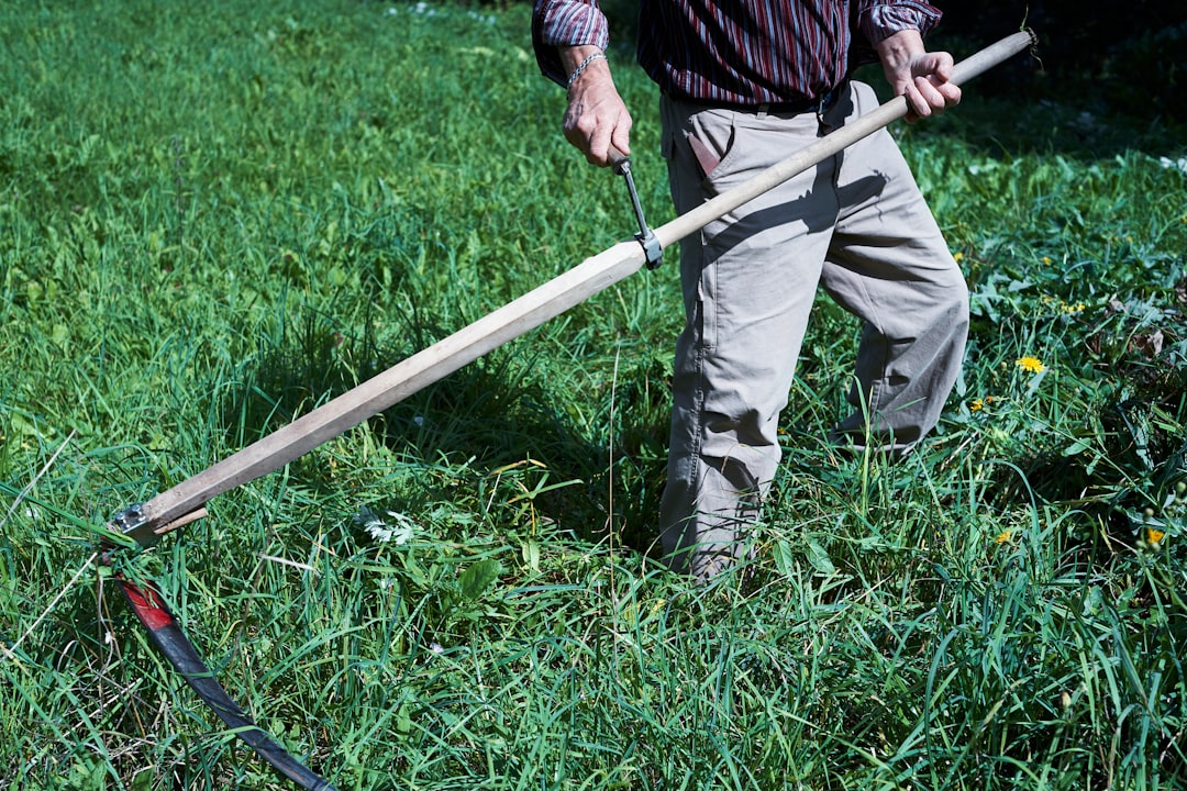 effektiver unkrautentferner für garten und hof – schnell, einfach und umweltfreundlich unkraut entfernen.
